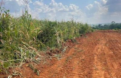 Titled Land for Sale